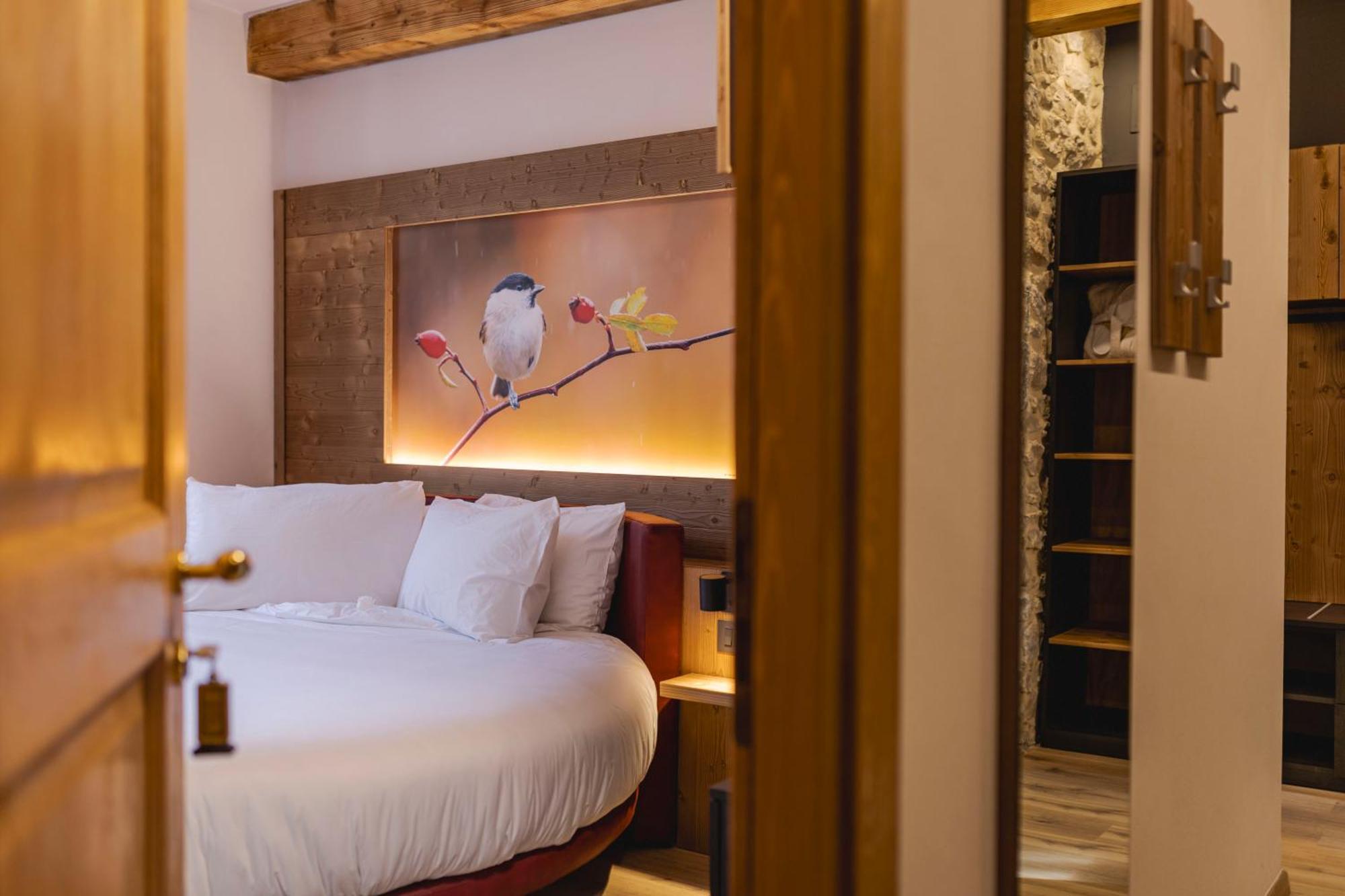 Granduca Mountain Wellness Apartments Campigna Eksteriør bilde